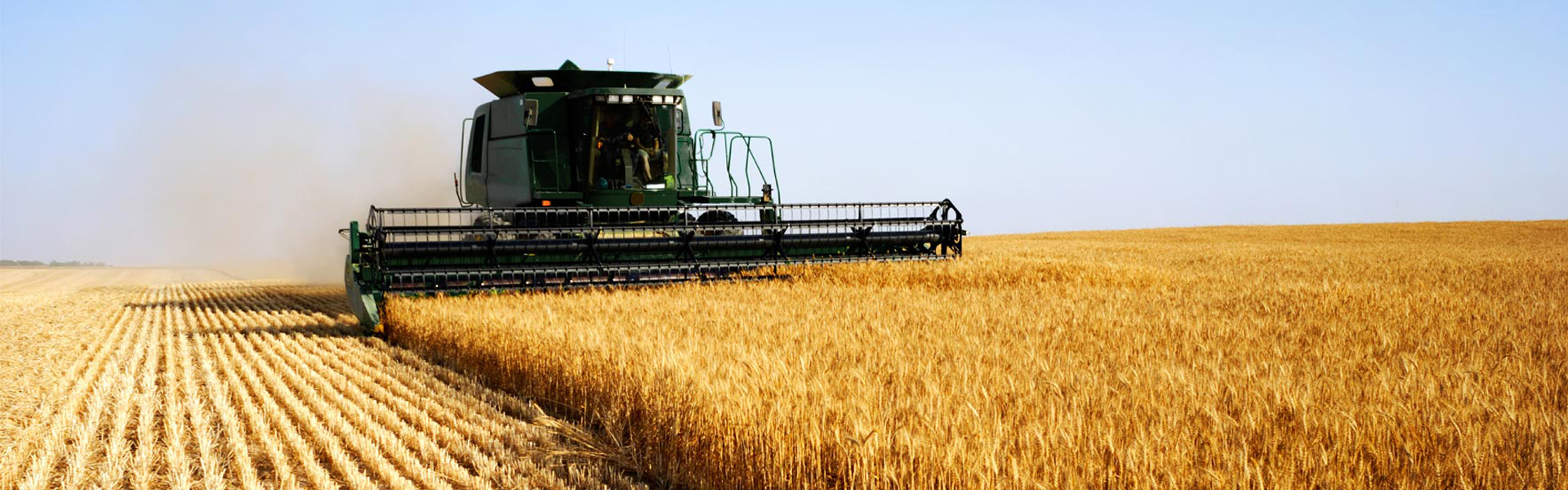 AGRICULTURE